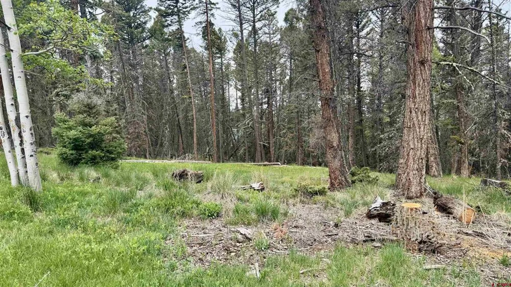 1301 Spruce Road Cimarron, CO 81220