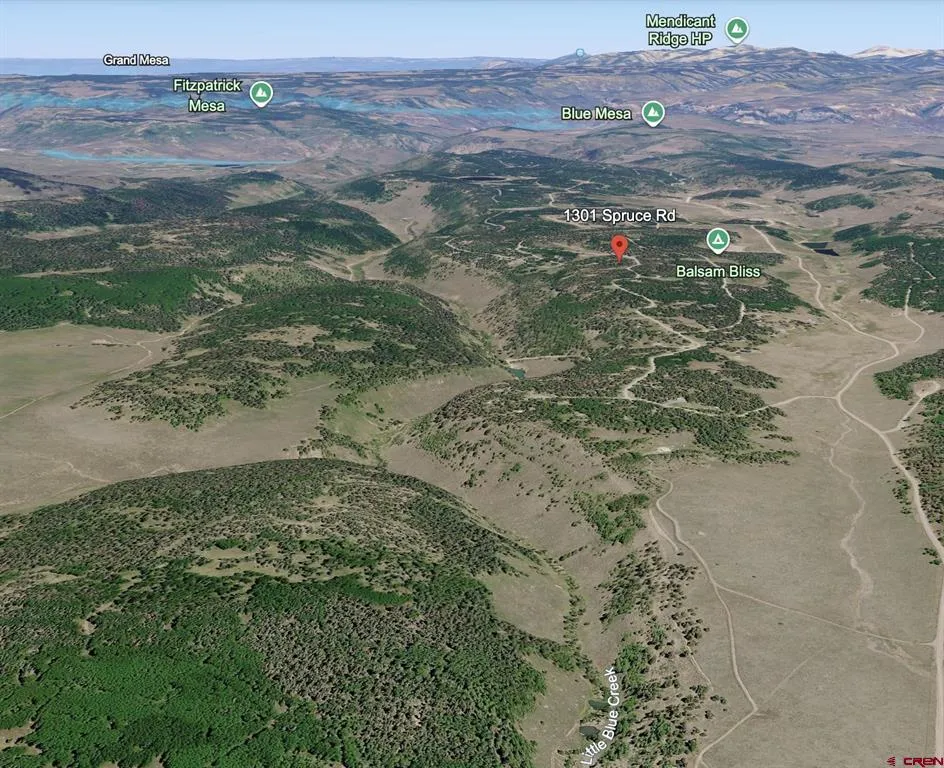1301 Spruce Road Cimarron, CO 81220