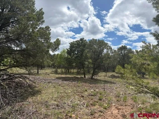 4 Tower Road North Ridgway, CO 81432
