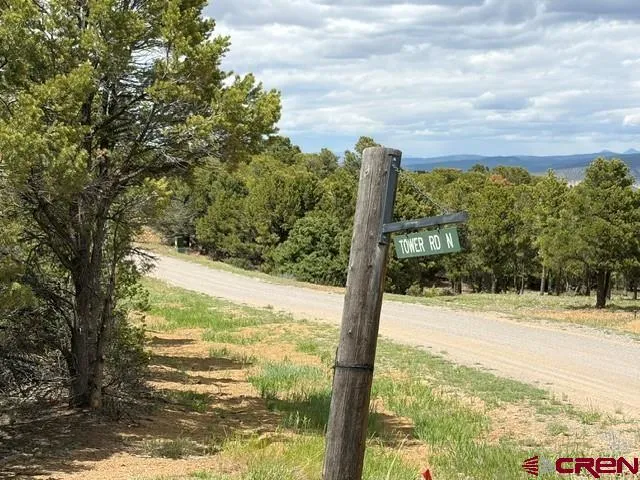 4 Tower Road North Ridgway, CO 81432