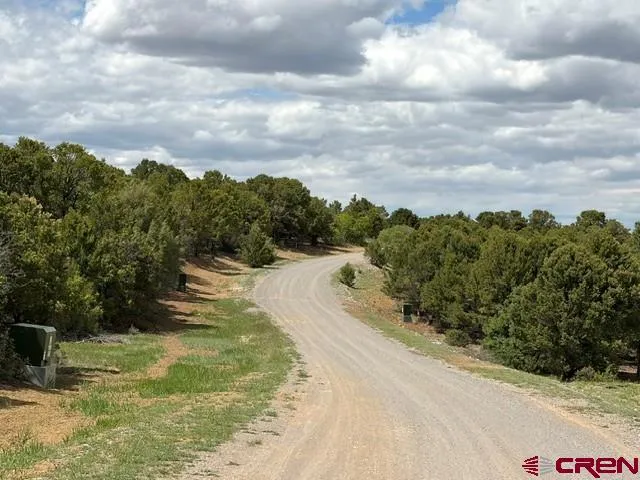 4 Tower Road North Ridgway, CO 81432