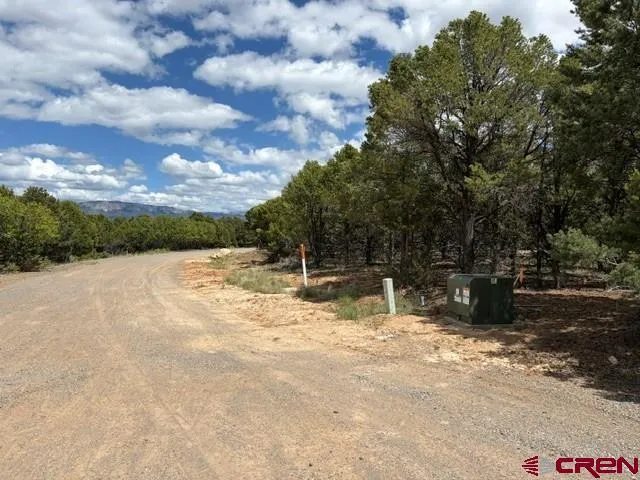 4 Tower Road North Ridgway, CO 81432