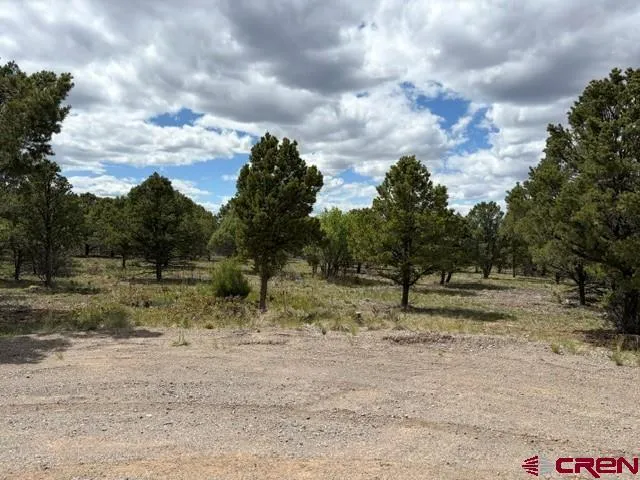 4 Tower Road North Ridgway, CO 81432