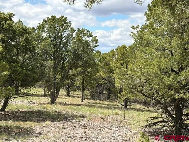 4 Tower Road North Ridgway, CO 81432