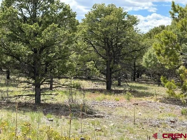 4 Tower Road North Ridgway, CO 81432