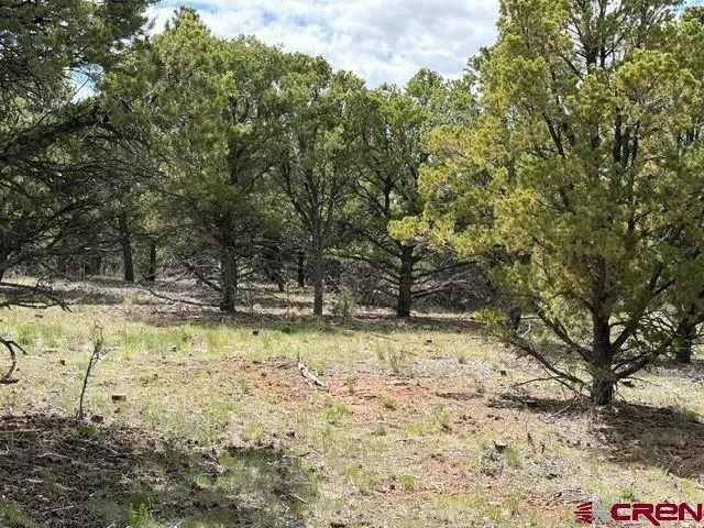 4 Tower Road North Ridgway, CO 81432