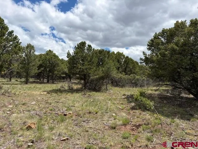 4 Tower Road North Ridgway, CO 81432