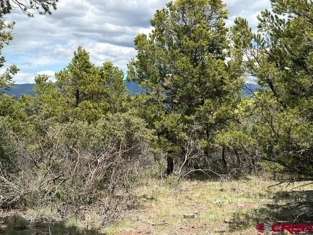 4 Tower Road North Ridgway, CO 81432
