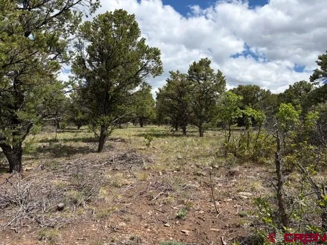 4 Tower Road North Ridgway, CO 81432