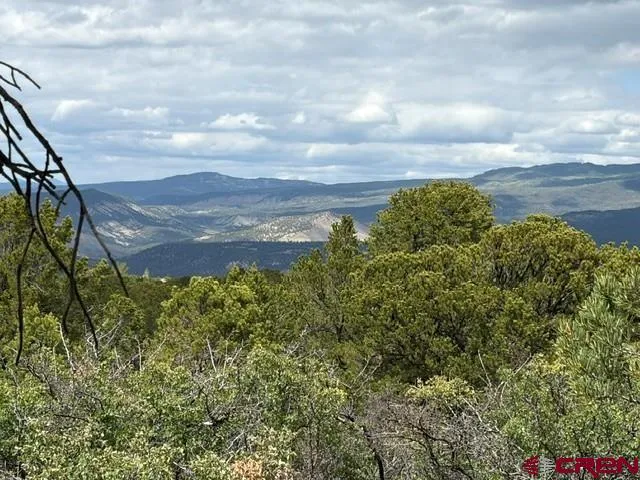 4 Tower Road North Ridgway, CO 81432