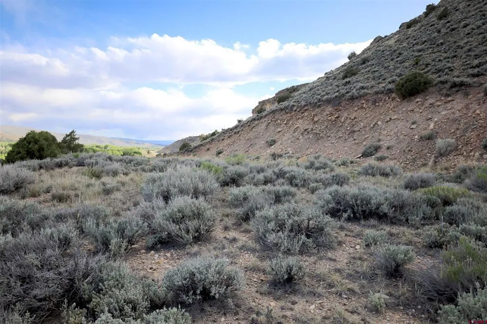 8077 State Highway 135 Gunnison, CO 81230