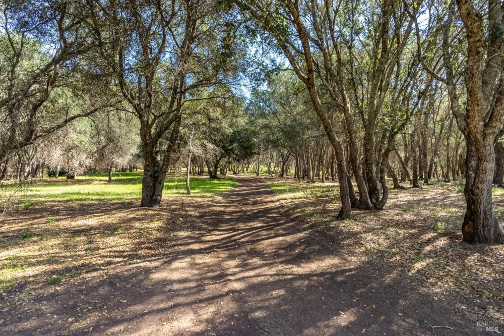 Franz Valley School Road Calistoga, CA 94515