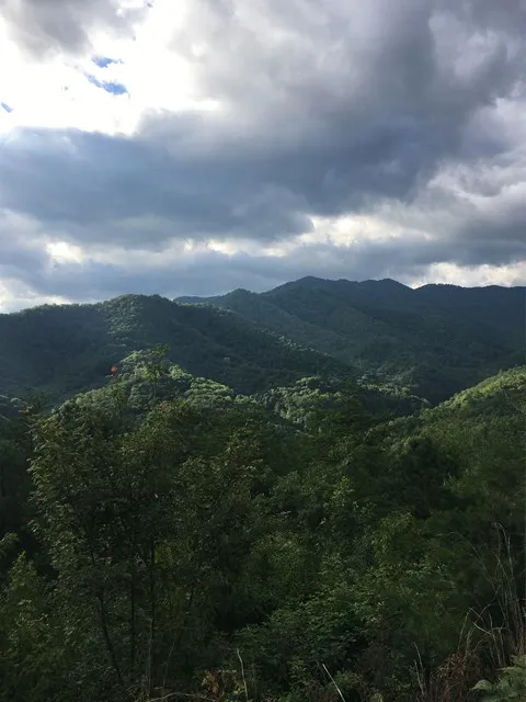 0 Bear Ridge Run