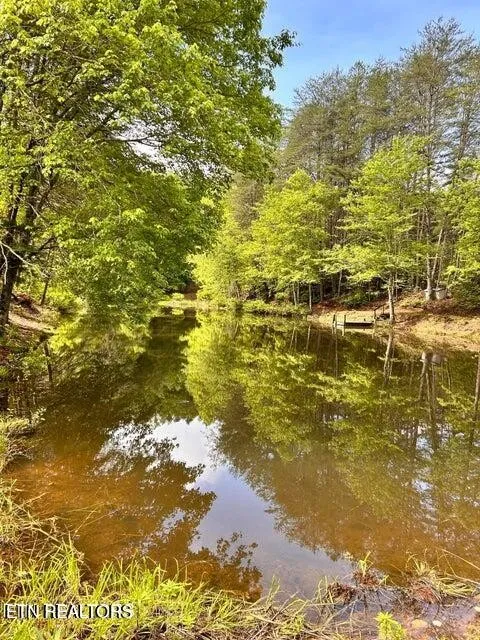 188 Dalton Branch Rd Tellico Plains, TN 37385