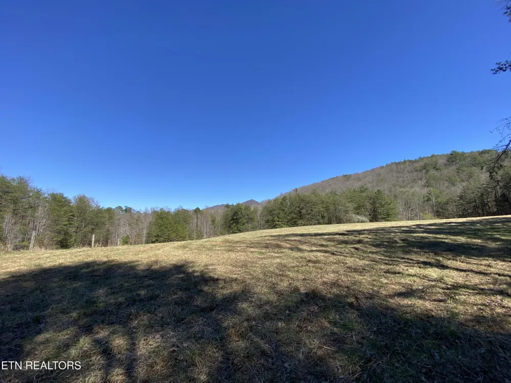 188 Dalton Branch Rd Tellico Plains, TN 37385