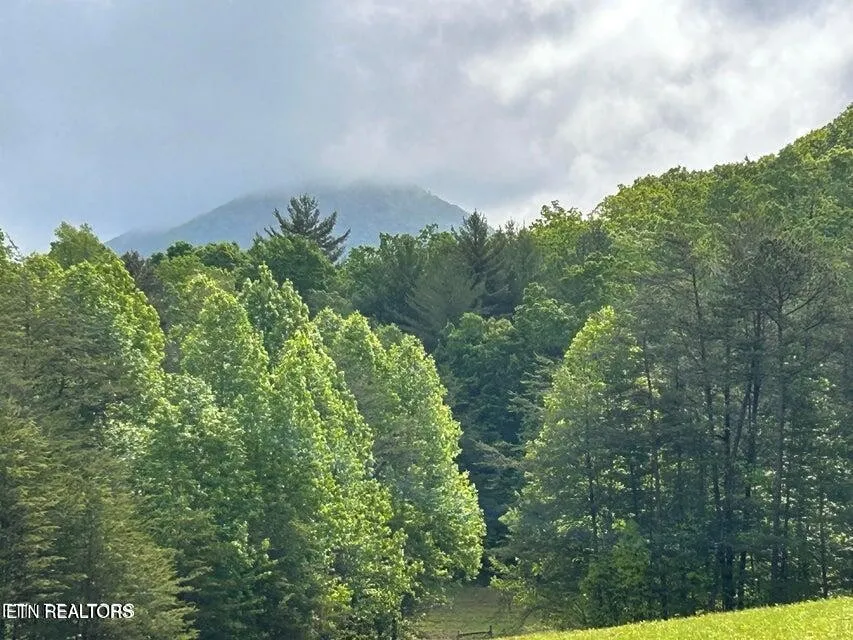188 Dalton Branch Rd Tellico Plains, TN 37385