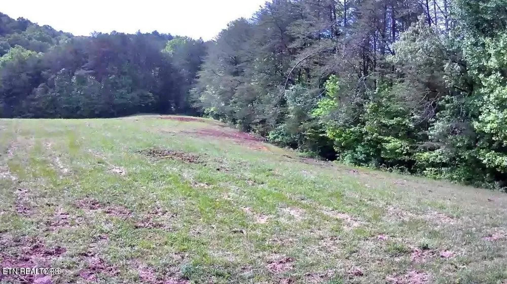 188 Dalton Branch Rd Tellico Plains, TN 37385