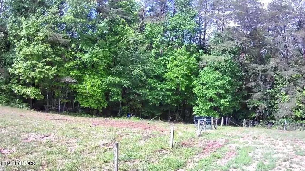 188 Dalton Branch Rd Tellico Plains, TN 37385