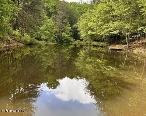 188 Dalton Branch Rd Tellico Plains, TN 37385