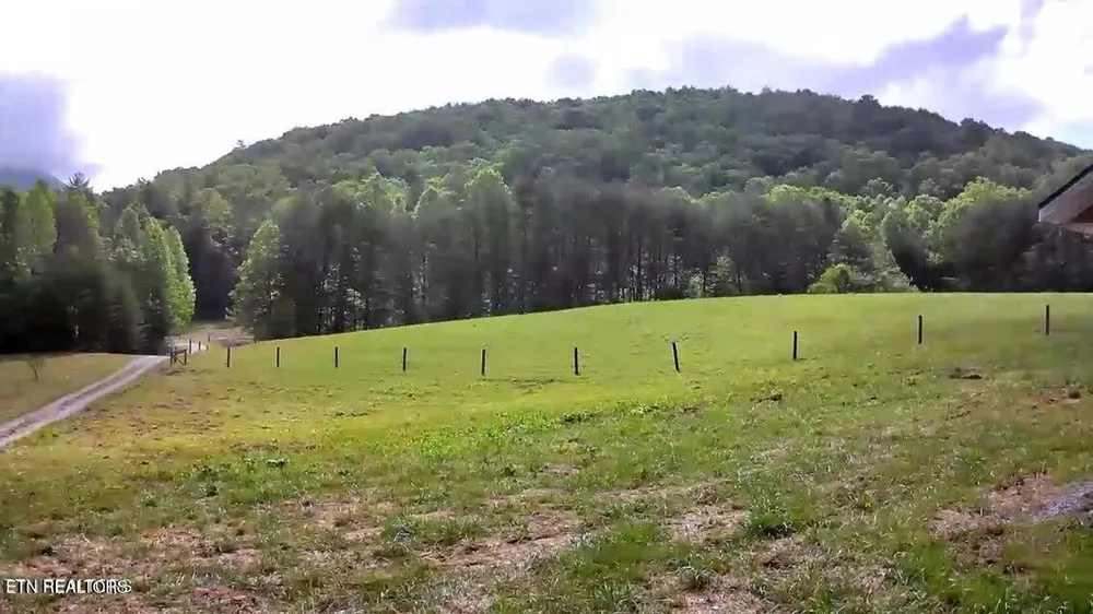 188 Dalton Branch Rd Tellico Plains, TN 37385