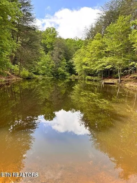 188 Dalton Branch Rd Tellico Plains, TN 37385