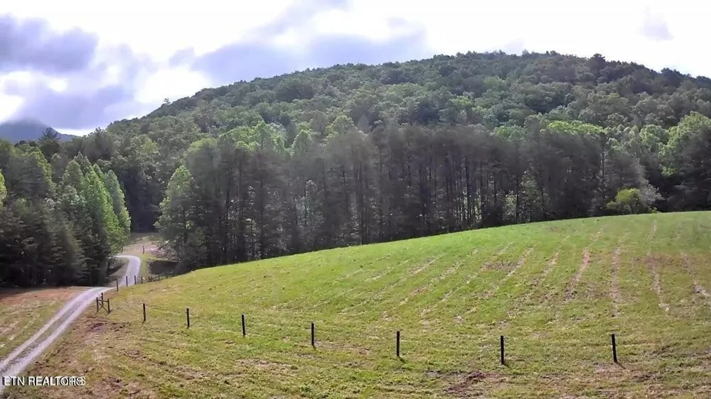 188 Dalton Branch Rd Tellico Plains, TN 37385