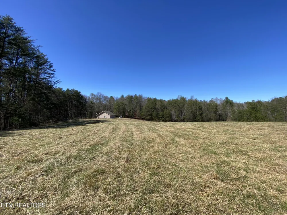 188 Dalton Branch Rd Tellico Plains, TN 37385