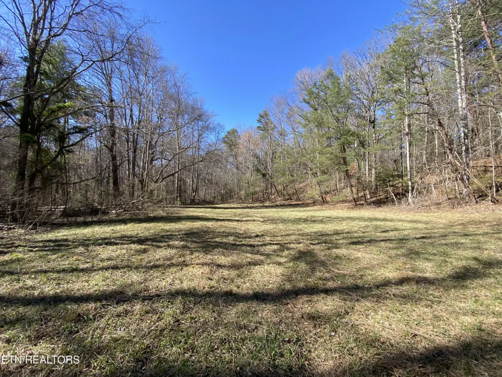 188 Dalton Branch Rd Tellico Plains, TN 37385