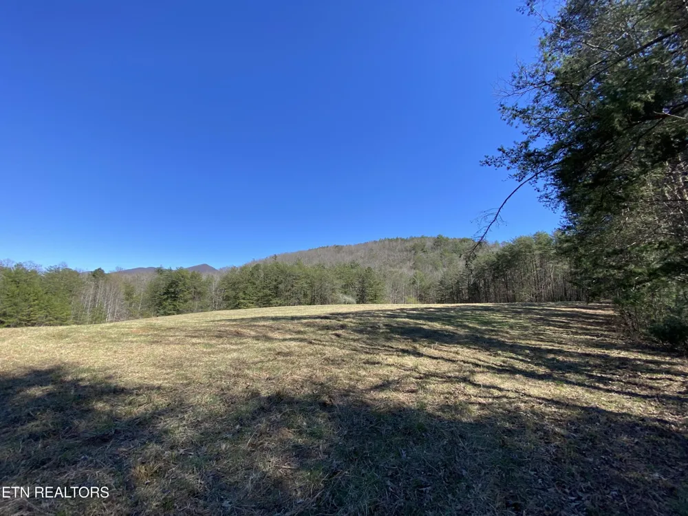 188 Dalton Branch Rd Tellico Plains, TN 37385