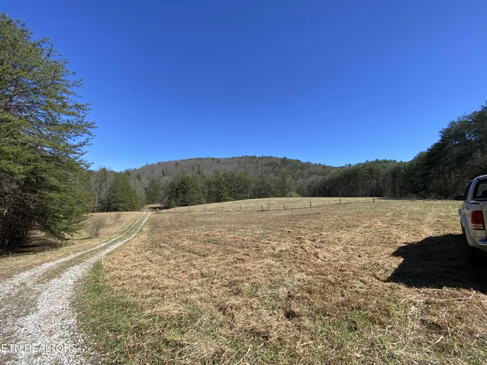 188 Dalton Branch Rd Tellico Plains, TN 37385