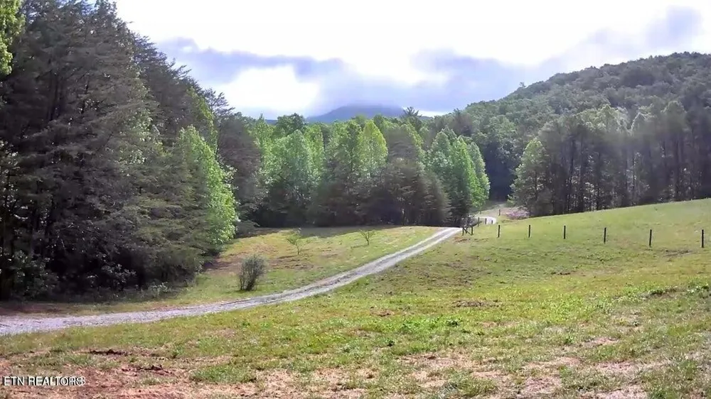 188 Dalton Branch Rd Tellico Plains, TN 37385