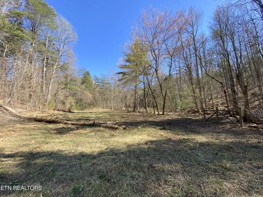 188 Dalton Branch Rd Tellico Plains, TN 37385