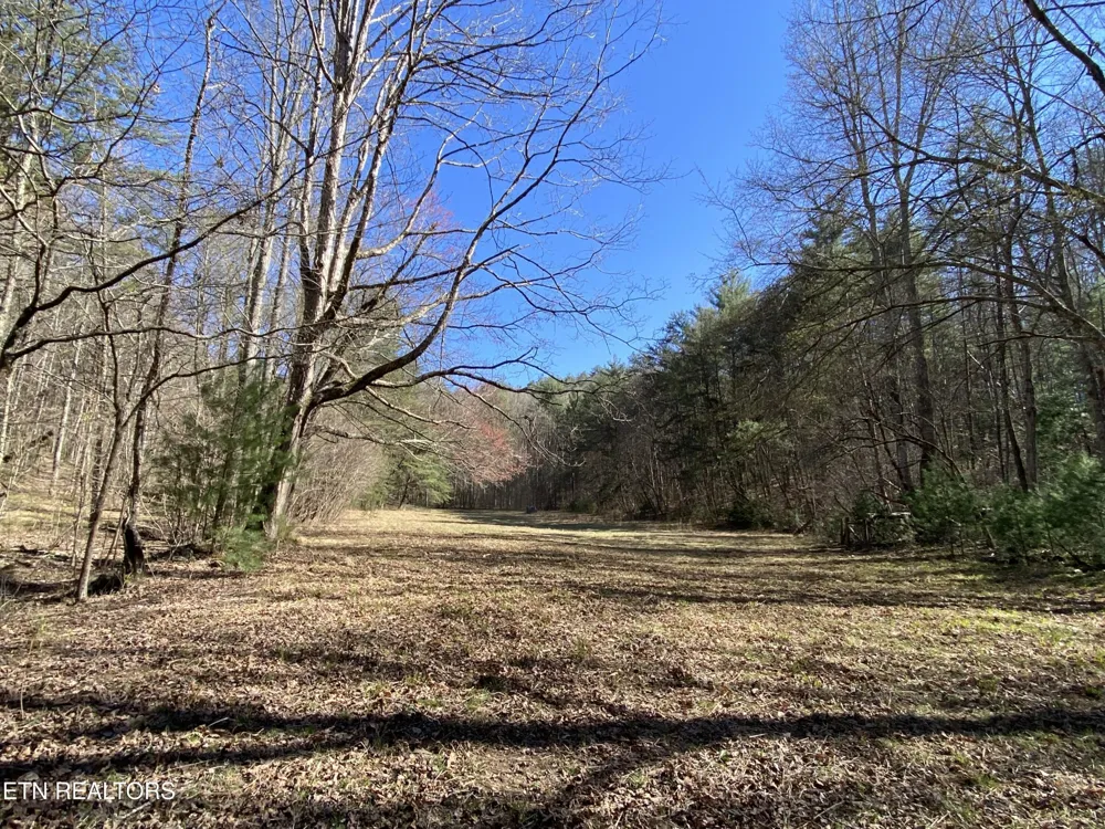 188 Dalton Branch Rd Tellico Plains, TN 37385