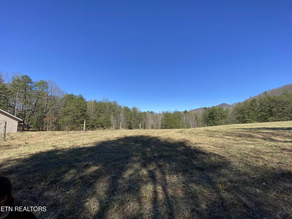 188 Dalton Branch Rd Tellico Plains, TN 37385