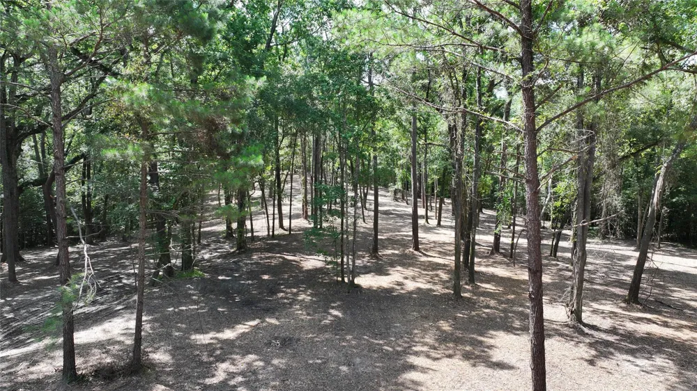 Hwy 190 Point Blank, TX 77364