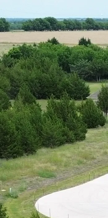 Evergreen Way