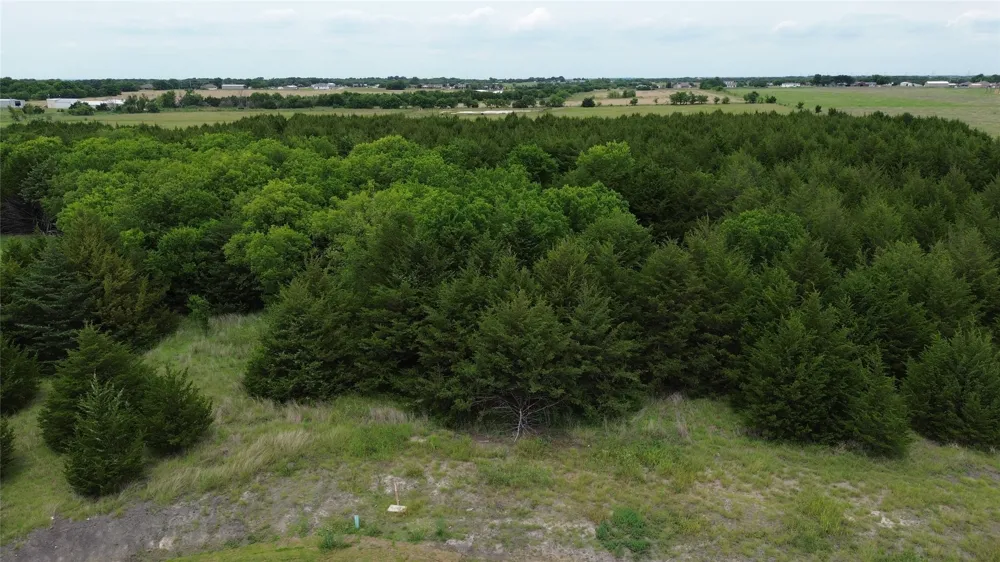 Evergreen Way Nevada, TX 75173