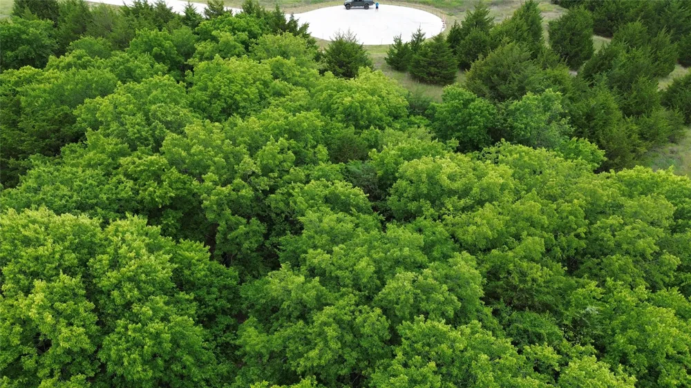 Evergreen Way Nevada, TX 75173
