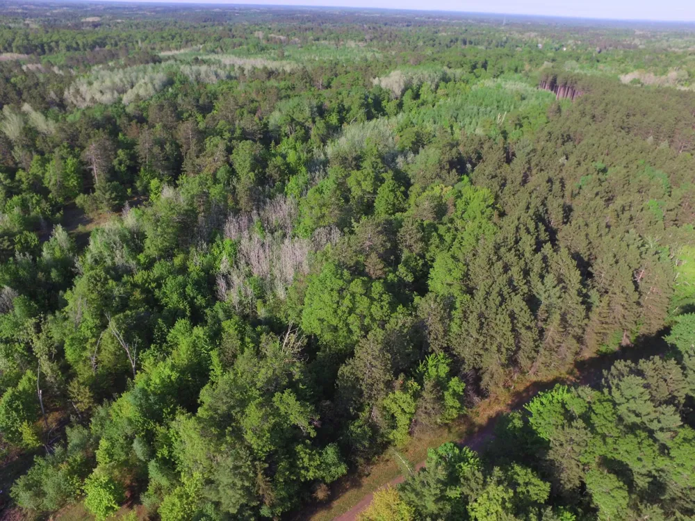 Lot 31 Setting Sun Trail Way Danbury, WI 54830