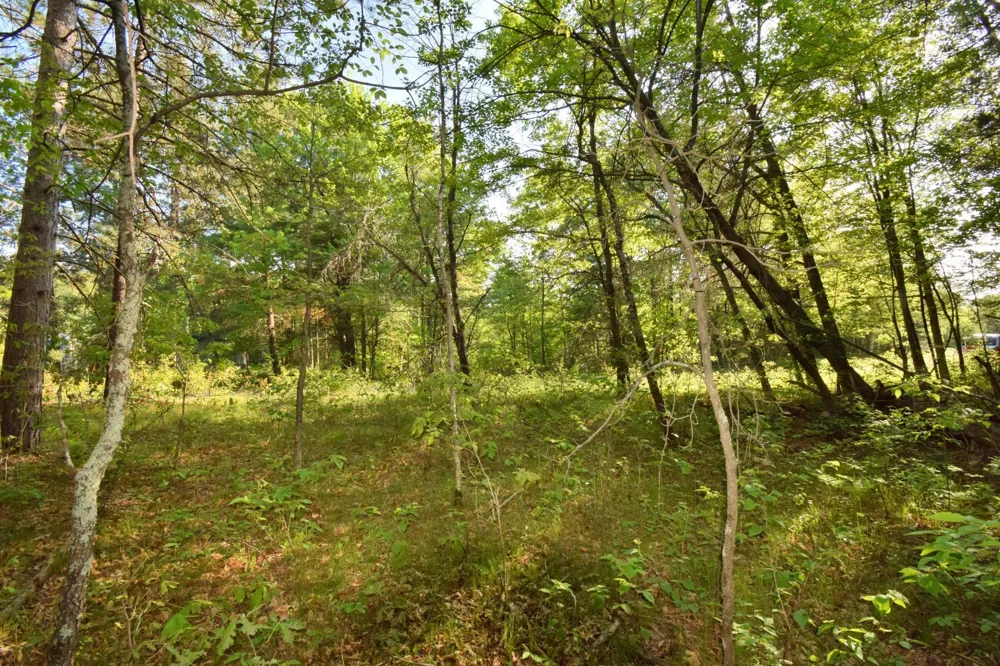 Lot 31 Setting Sun Trail Way Danbury, WI 54830