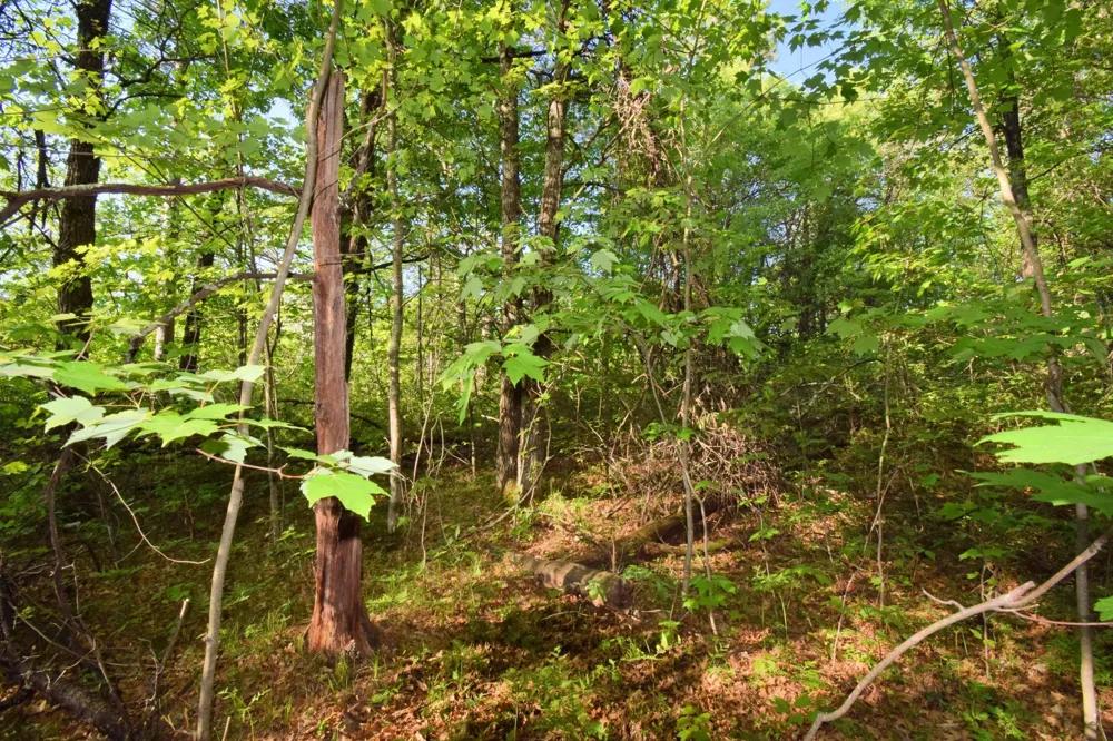 Lot 31 Setting Sun Trail Way Danbury, WI 54830