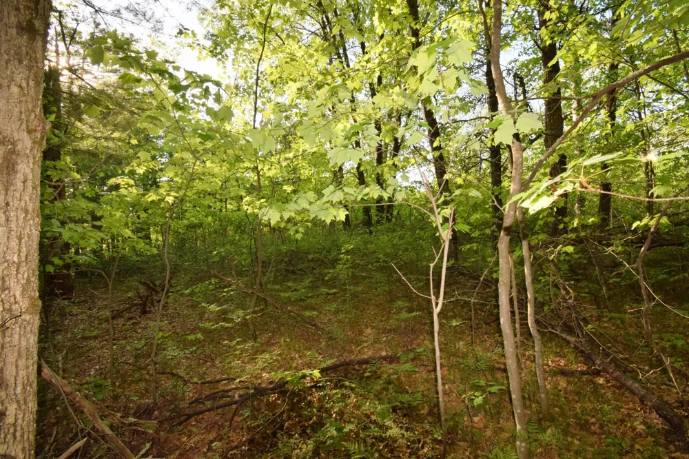 Lot 31 Setting Sun Trail Way Danbury, WI 54830