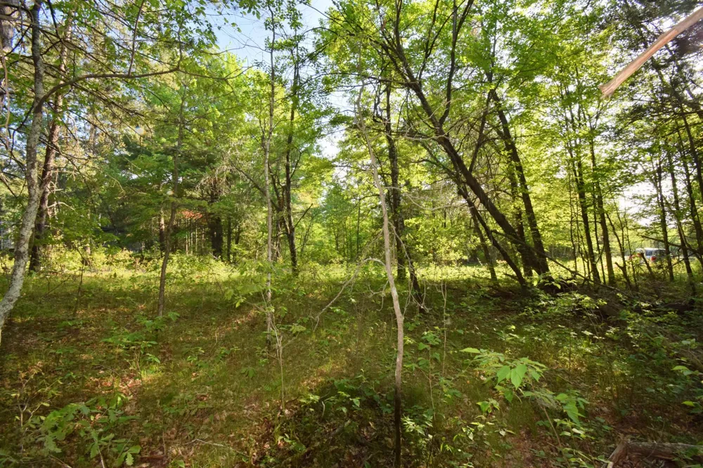 Lot 31 Setting Sun Trail Way Danbury, WI 54830