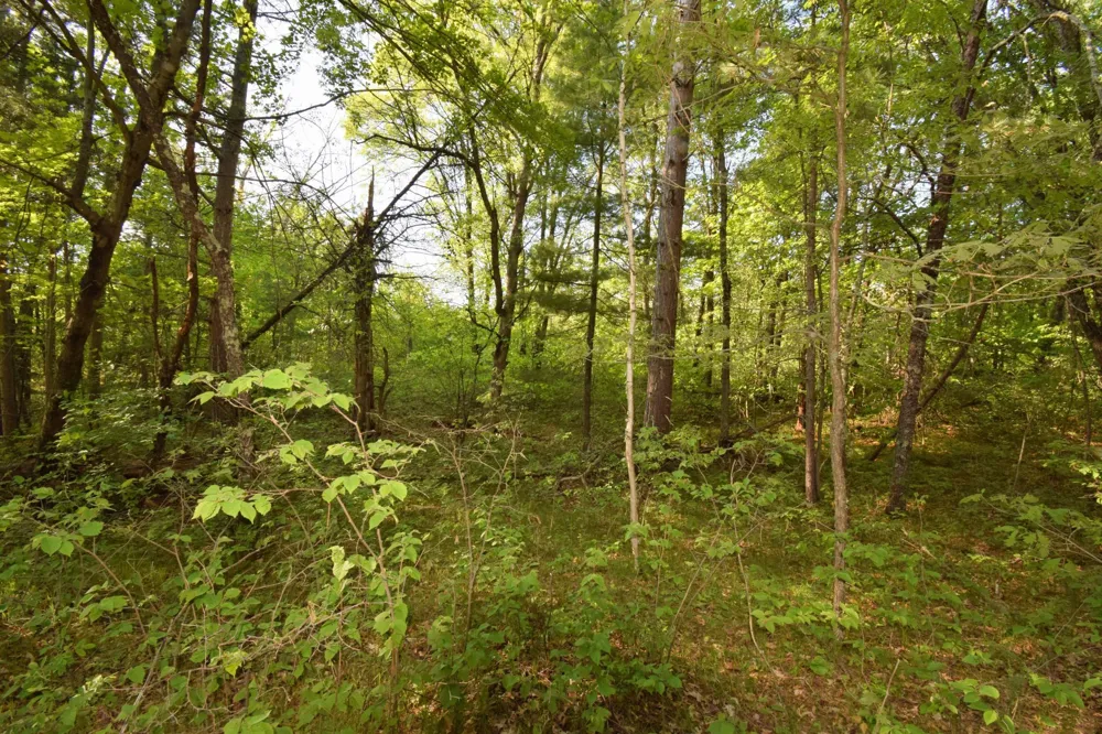 Lot 31 Setting Sun Trail Way Danbury, WI 54830