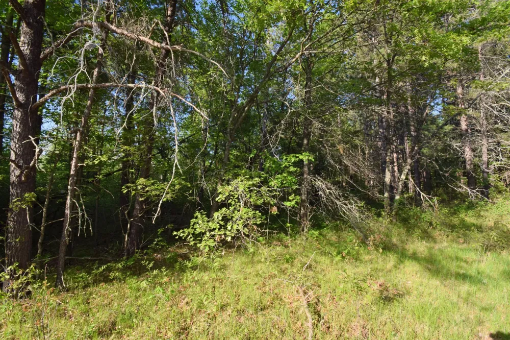 Lot 31 Setting Sun Trail Way Danbury, WI 54830
