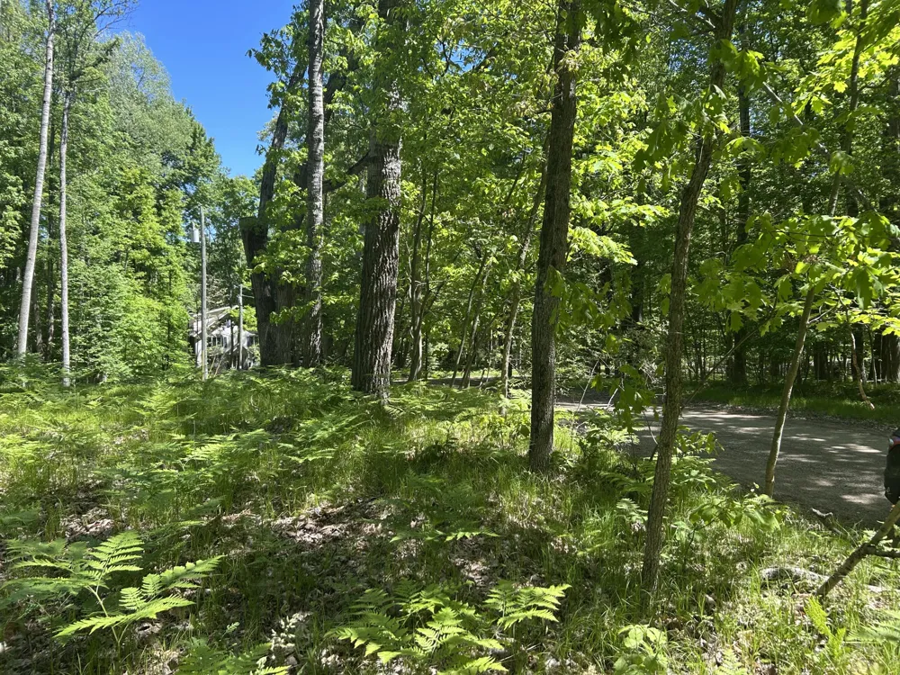 8297 Highland Trail #349 Canadian Lakes, MI 49346