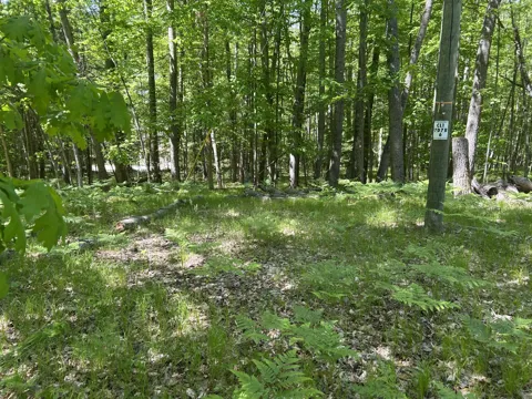 8297 Highland Trail #349