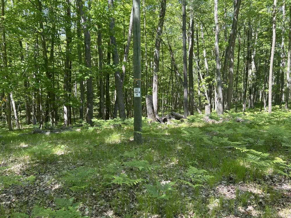 8297 Highland Trail #349 Canadian Lakes, MI 49346