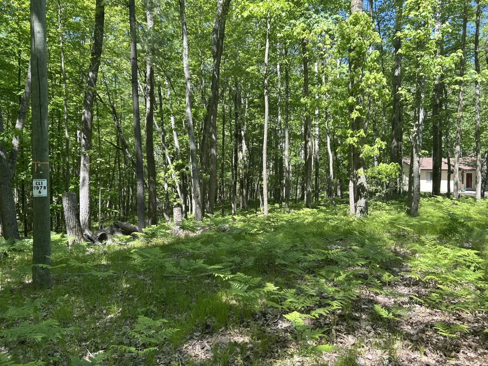8297 Highland Trail #349 Canadian Lakes, MI 49346