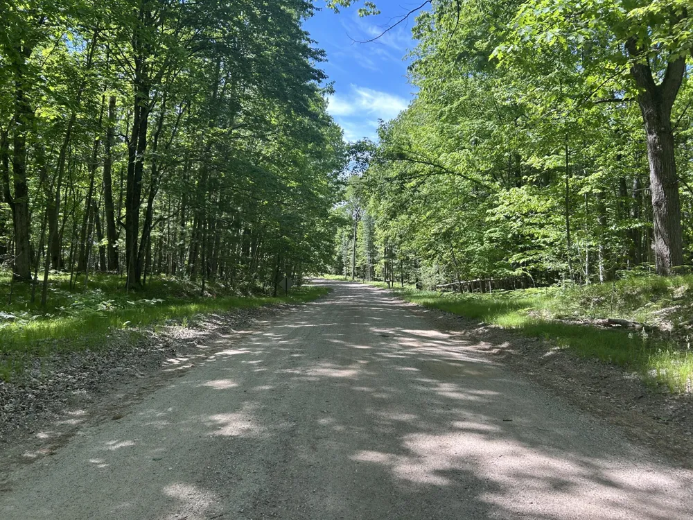8297 Highland Trail #349 Canadian Lakes, MI 49346